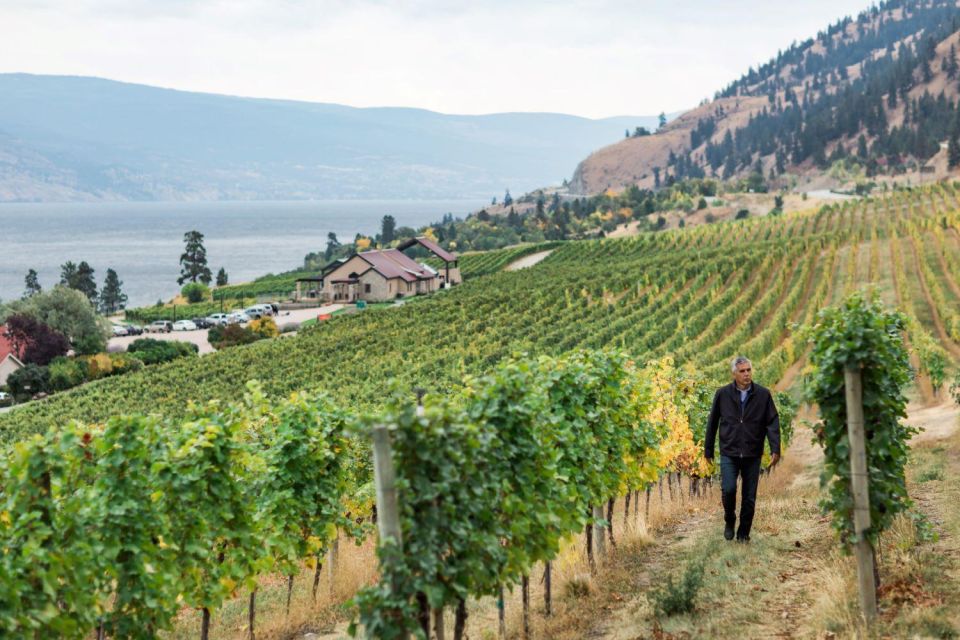 Penticton Wineries Tour - Tour Highlights and Additional Information