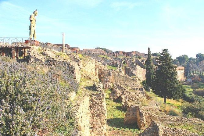 Pompeii and Herculaneum Private Tour With Native Guide and Skip the Line Tickets - Final Words