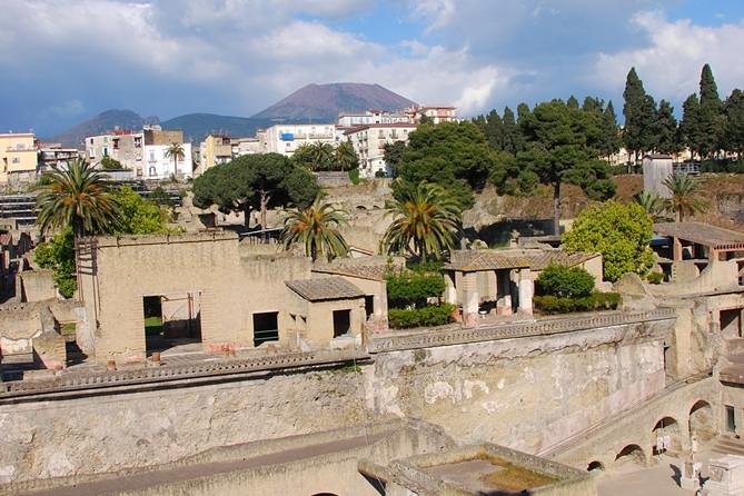 Pompeii & Herculaneum Day Trip From Naples With Lunch - Specific Feedback Insights