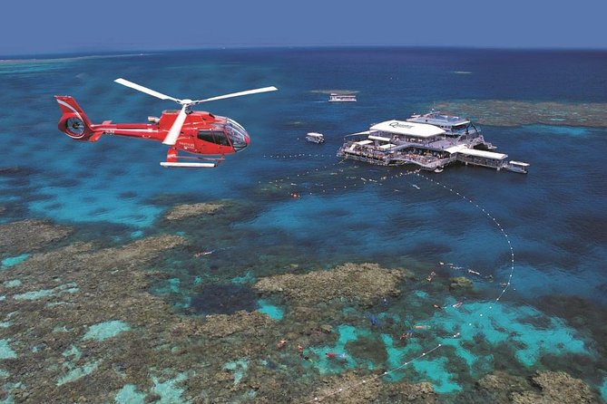 Port Douglas - Cruise and 10 Minute Scenic Flight - Marine Life and Coral Viewing