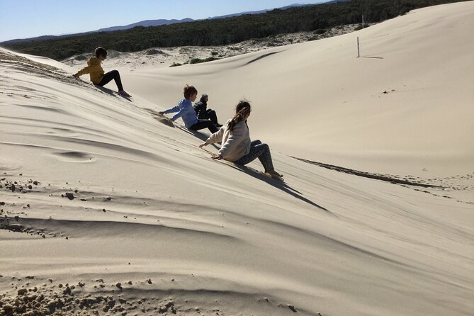 Port Stephens, Beach and Sand Dune 4WD Tag-Along Tour - Vehicle and Permit Requirements