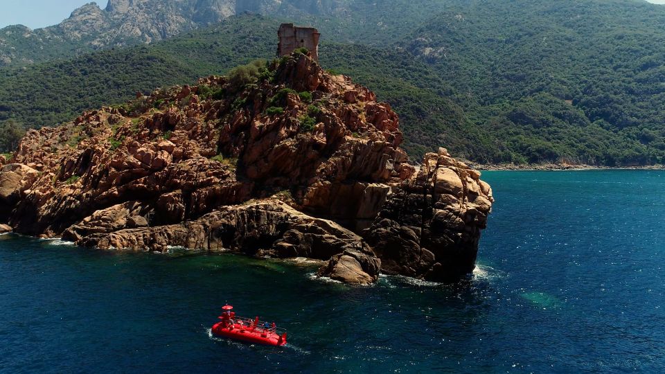 Porto: Discovery of Marine Fauna and Flora/Bay of Porto - The Biodiversity of Porto Bay