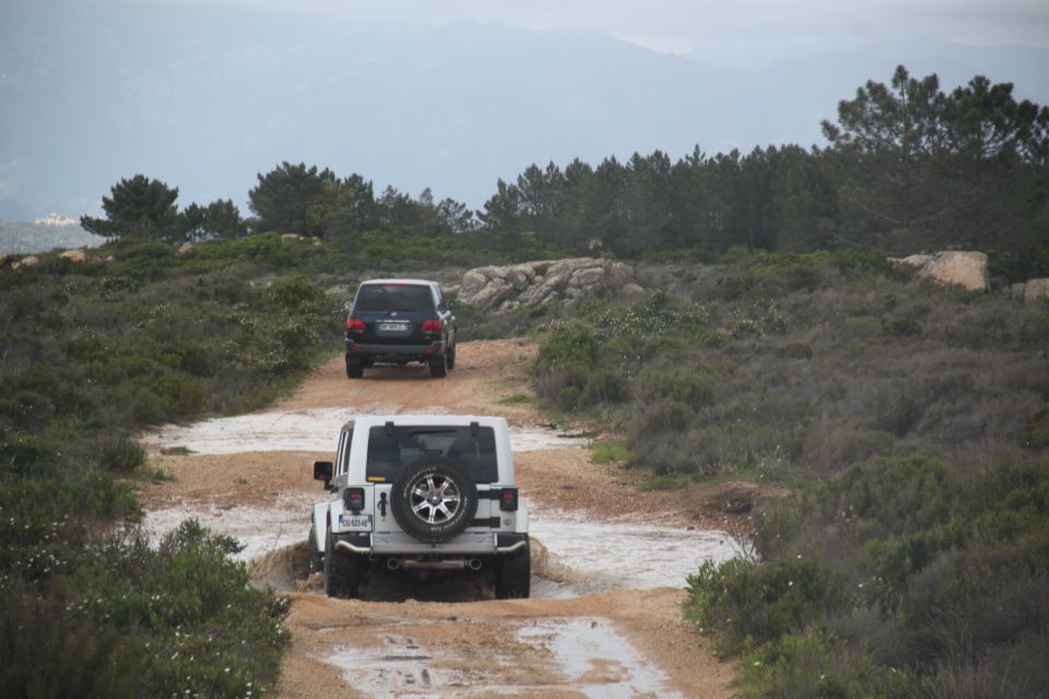 Porto Vecchio: Cuscionu Plateau & Alta Rocca 4x4 Tour - Highlights of the Tour