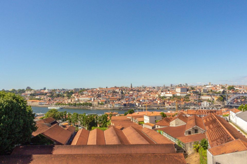 Porto's Romantic Pathways: A Love Story - Strolling Along Av. Dos Aliados
