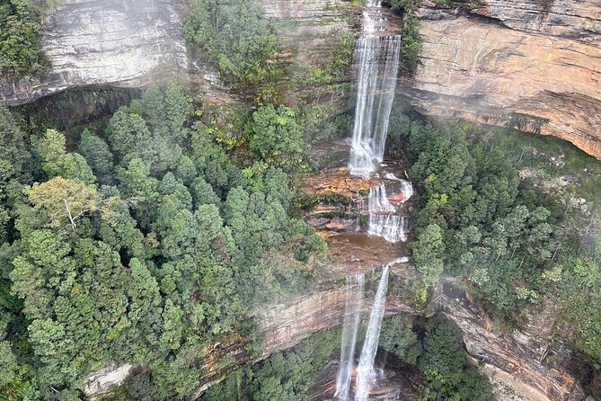 Private Blue Mountains Day Trip VIP From Sydney Luxury Mercedes - Featherdale Wildlife Park Delights