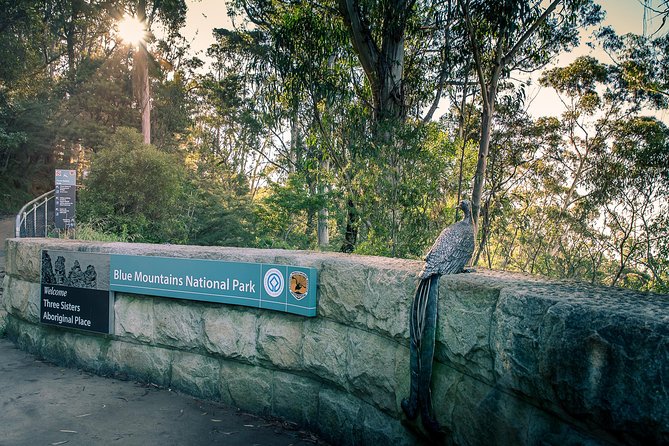 PRIVATE Blue Mountains Wilderness & Wildlife Late Start Tour - What to Expect and Prepare