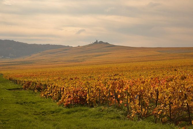 Private Full-Day Tour of Champagne Region - Common questions