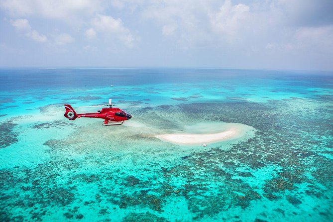 Private Helicopter Tour: Reef Island Snorkeling and Gourmet Picnic Lunch - Important Safety Guidelines