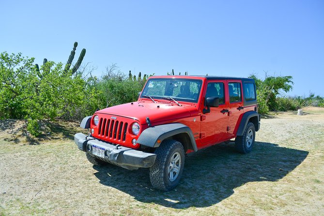 Private Jeep Tour Cabo Pulmo - Group Meeting Points and Instructions