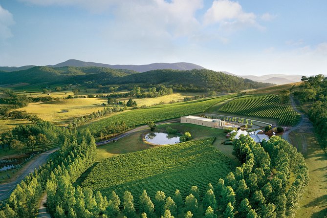 [PRIVATE TOUR] Yarra Valley Winery | Day Tour - Tour Policies and Guidelines