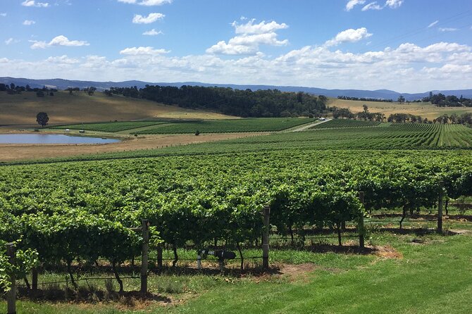 Private Yarra Valley Wine Tour - Convenient Pickup Options