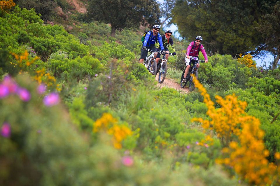 Ramatuelle: Tracks & Tasting Winery Tour by Mountain E-Bike - Important Information