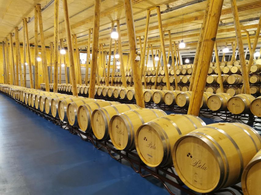 Ribera Del Duero Wine Region Private Tour - Highlights