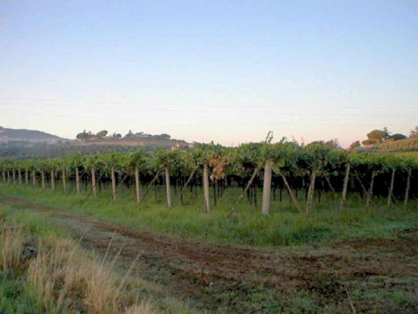 Roman Countryside Wine Tasting - Inclusions