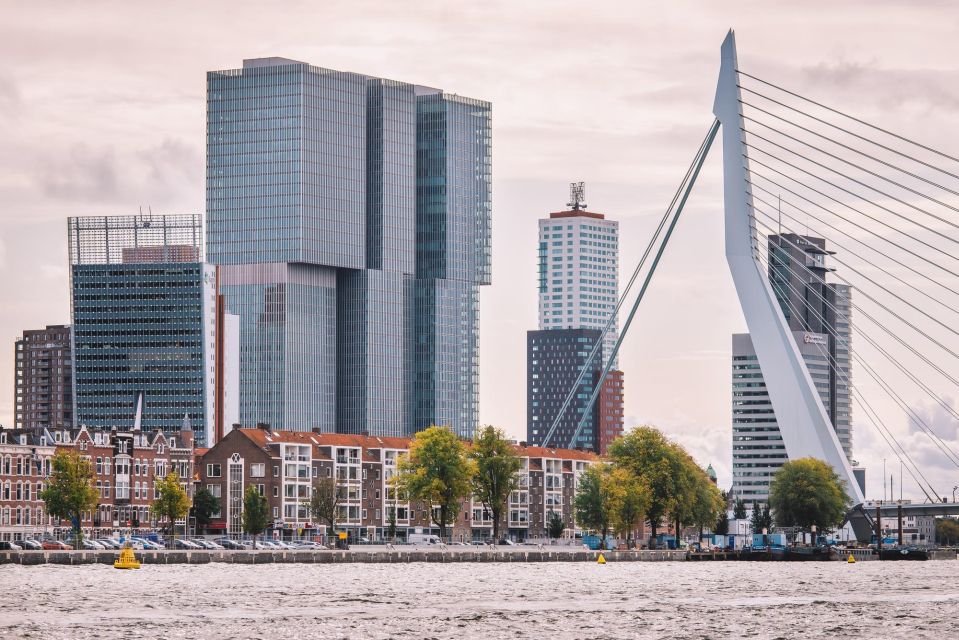 Rotterdam: Express Walk With a Local in 90 Minutes - Highlights of the Experience