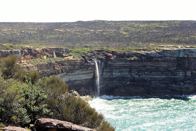 Royal National Park Tour - Scenic Stops and Lookouts