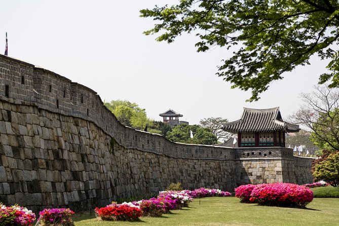 Samsung Innovation Museum & Suwon Hwaseong Fortress Private Tour - Important Tour Policies