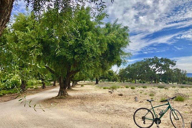 Santa Ynez Valley Biking and Wine Tasting Tour - Booking Information