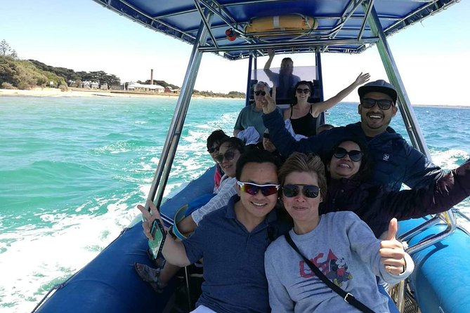 Seal and Dolphin Watching Eco Boat Cruise Mornington Peninsula - Important Safety Guidelines