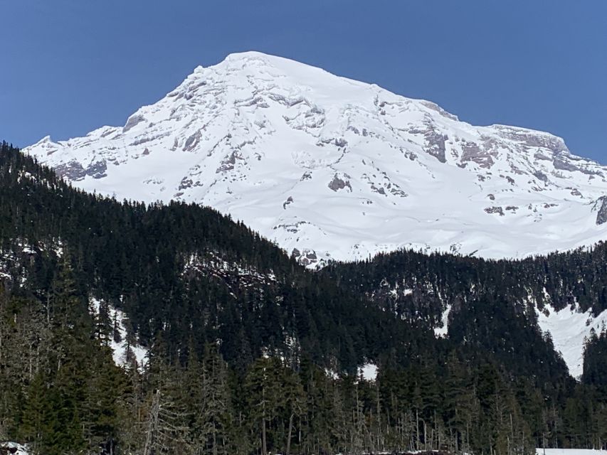 Seattle: Mt. Rainier Hiking W/ Waterfalls, Glaciers & Trees - Meeting Point Details