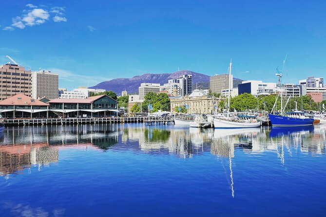 Shore Excursion: Hobart Highlights Day Tour - Expert Guides and Commentary