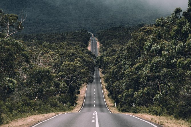 Small Group - Grampians Hiking Day Tour From Melbourne - Meeting and Pickup Details