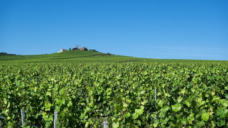 Small Group Guided Tour Champagne by Van Meet Local Producer - Inclusions and Meeting Point