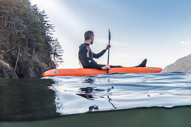 Snorkel, Kayak, and Seal Adventure: Vancouver Boat Tour - Cancellation Policy