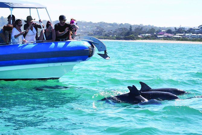 Southern Ocean Adventure From Victor Harbor - Meeting and Departure Points