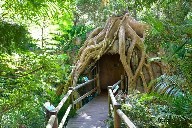 Springbrook Andtamborine Rainforest Tour Incl Natural Bridge and Glow Worm Cave - Wildlife and Nature Encounters