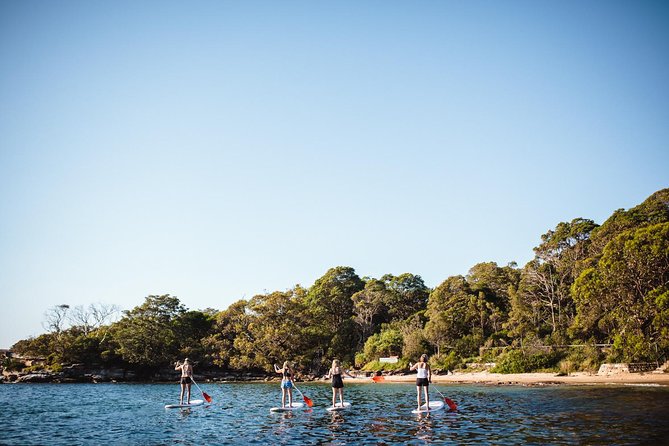 Stand Up Paddle Board Hire - 2 Hours - Before You Go