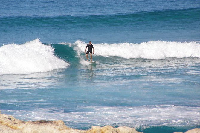 Stradbroke Island 4WD Day Trip From Brisbane - Wildlife and Scenic Highlights