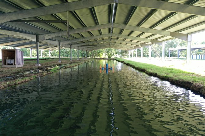 Sturgeon Fish Farm Visit With Caviar-Making Workshop in Neuvic - Common questions