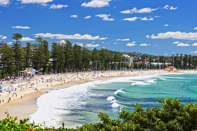 Sydneys Northern Beaches Private Day Tour | Including a River Boat Cruise - What to Expect on Tour