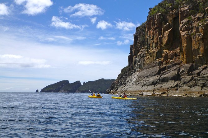 Tasman Peninsula Full Day Kayaking Tour - Whats Included in the Tour