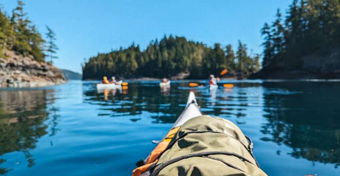 Telegraph Cove: Half-Day Kayaking Tour - Restrictions