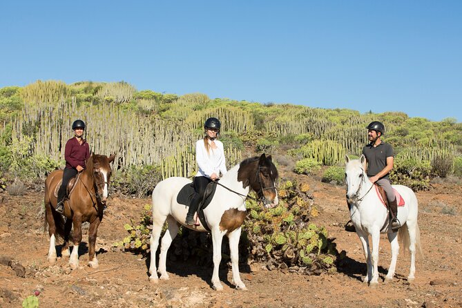 The Best Horse Riding Experience in Gran Canaria (2 Hours) - Common questions