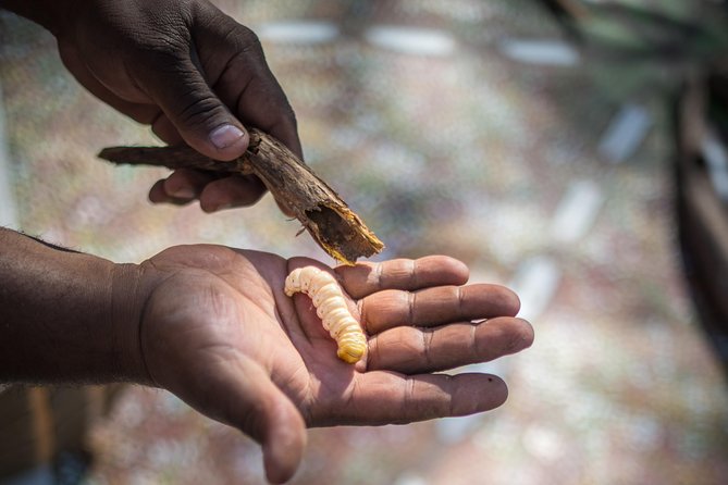 The Input Text "Karrke Aboriginal Cultural Experience" Is Already in English, so It Doesn't Need to Be Translated. It Remains the Same:Karrke Aboriginal Cultural Experience - Accessibility and Restrictions