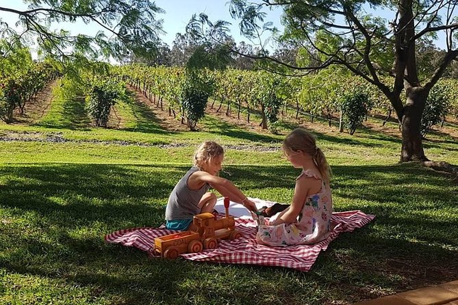 Tintilla Estate: Wine Tasting With a Meat and Cheese Platter - Booking and Cancellation Policy