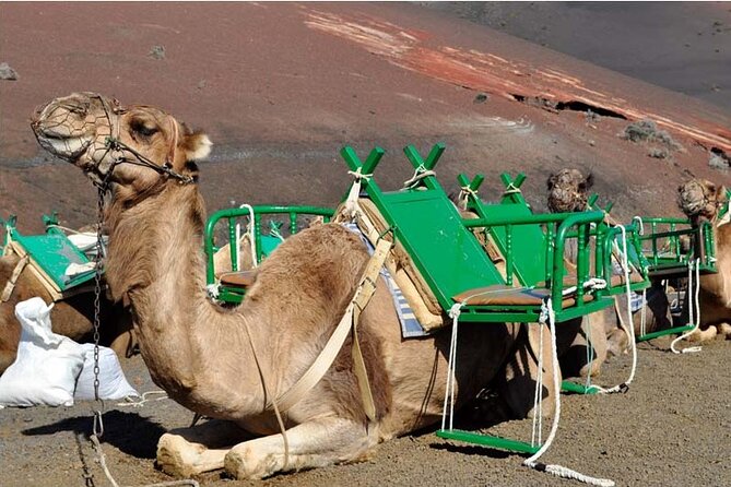 Tour to Timanfaya, Jameos Del Agua, Cueva De Los Verdes and Viewpoint From the Cliff - Spectacular Cliff Viewpoint Experience