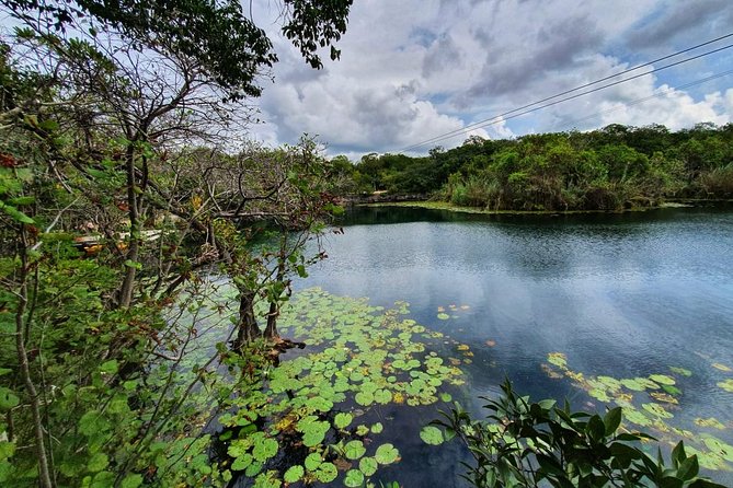 Tulum Archaeological Site and Cenote/Ziplining Tour - Common questions