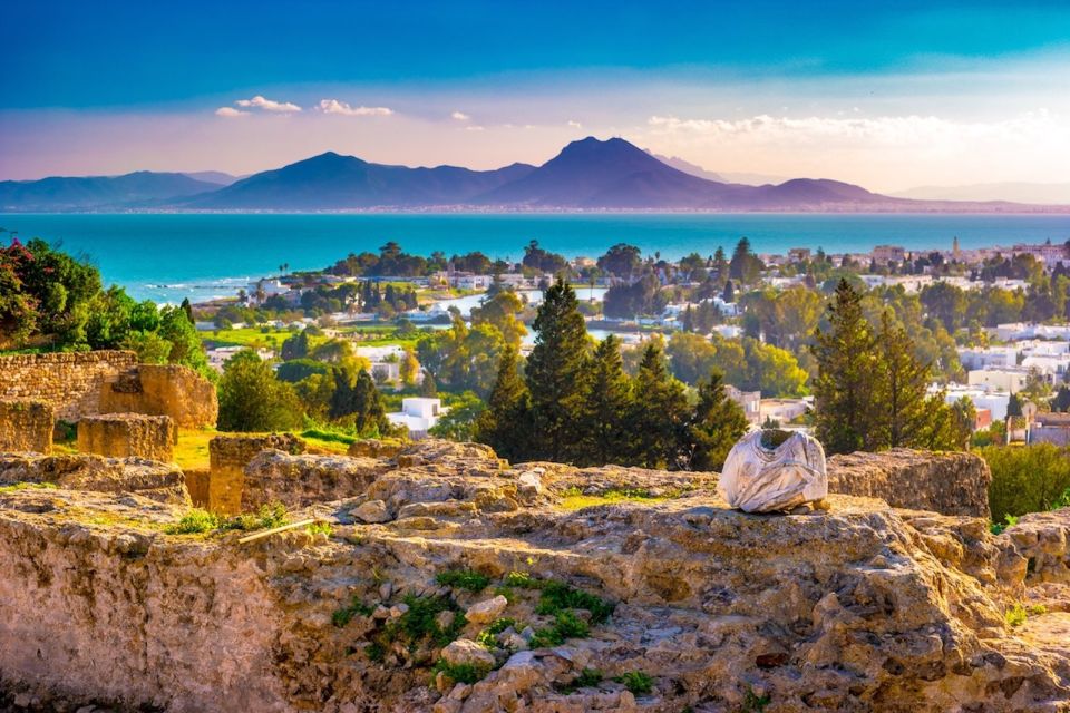 Tunis: Carthage, Sidi Bou Said and Medina Private Day Trip - Customer Reviews