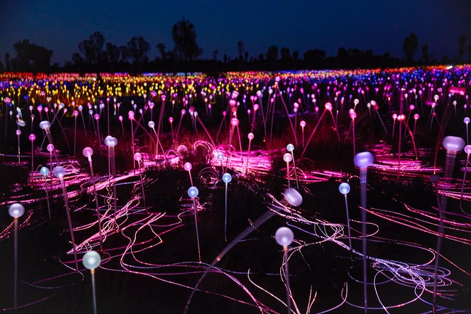 Uluru (Ayers Rock) Field of Light Sunrise Tour - Essential Tour Information