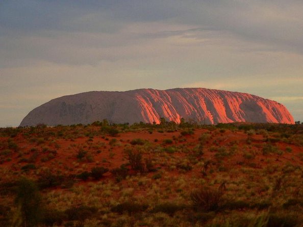 Uluru (Ayers Rock) to Alice Springs One-Way Shuttle - Inclusions and Important Notes