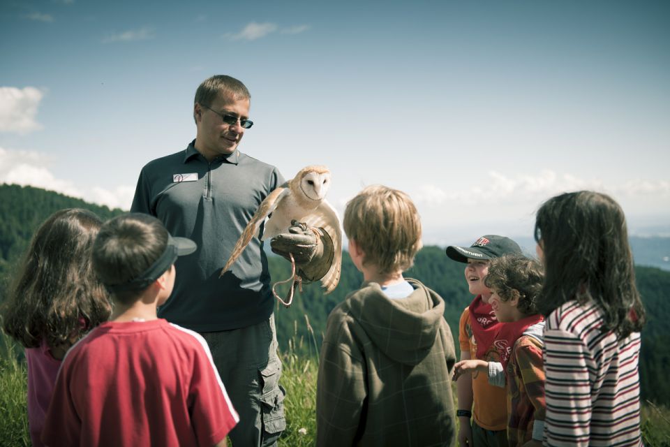 Vancouver: Grouse Mountain Express Tour With Skyride - Important Information