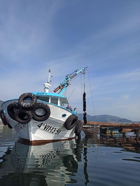 Vigo: Bay of San Simón Mussel Farming Tour - Customer Reviews