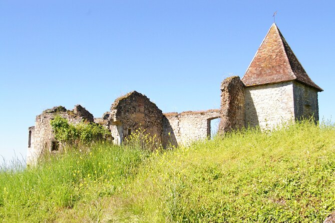 Visit to Château Du Cros and Introduction to Wine Tasting - Reviews of Château Du Cros