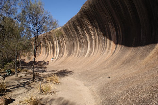 Wave Rock and Pinnacles Air & Ground Tour - Essential Tour Information