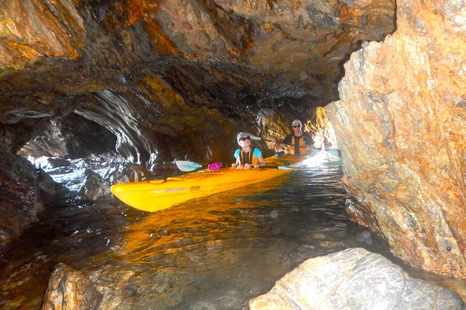 Whale Watching by Sea Kayak in Batemans Bay - On-Water Experience and Sightings