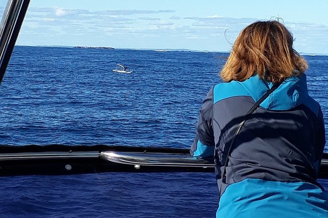 Whale Watching From Augusta in Western Australia - Health and Safety Considerations